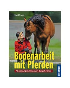 Bodenarbeit mit Pferden