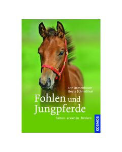 Fohlen und Jungpferde