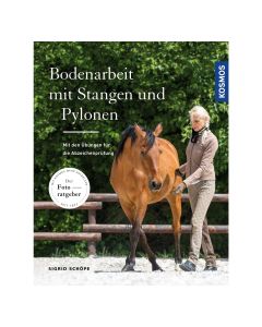 Bodenarbeit mit Stangen und Pylonen