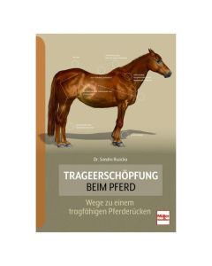Trageerschöpfung beim Pferd
