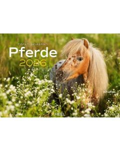 Kalender Pferde 2026