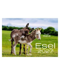 Wandkalender Esel 2027