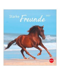 Postkartenkalender Pferde 2027 - Starke Freunde