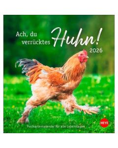 Postkartenkalender Hühner 2026 - Ach, du verrücktes Huhn