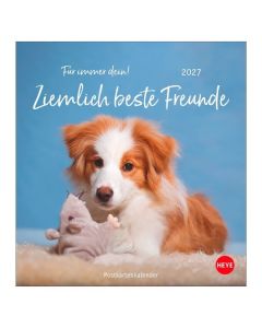 Postkartenkalender 2027 - Für immer dein!