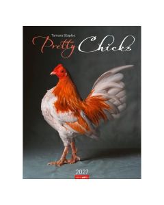 Kalender 2027 Pretty Chicks