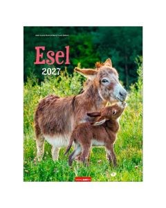 Kalender Esel 2027
