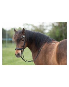 Anatomischer Nasenriemen Salford