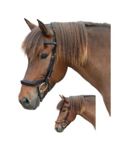 MONTIVUM Islandtrensenzaum Reykjavik