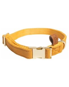 Hundehalsband Sintra