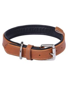 Hundehalsband Melun