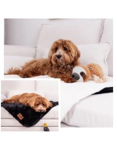 Hunde-Kuscheldecke Darwin