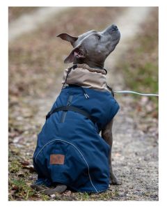 pawberry Hunde-Wintermantel Random