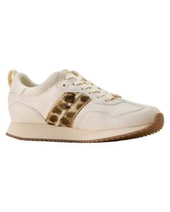 ARIAT Sneaker Ranch Runner