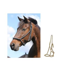 F. R. A. Halfter Sven