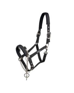WALDHAUSEN Halfter Pro Safety