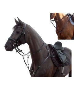 MONTIVUM Vorderzeug Marseille