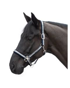 black forest Halfter Blue Stripes