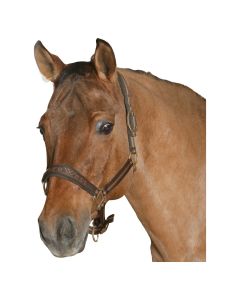 L-pro West Halfter, Gr. Pony