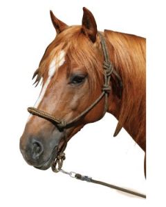 Knotenhalfter mit Seil