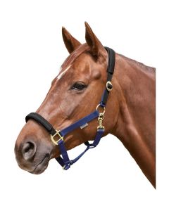 EQuest Sicherheitshalfter Equi-Stretch