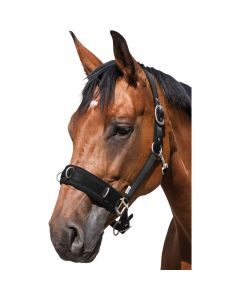 Horse-friends Longier- und Stallhalfter