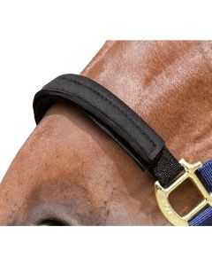 EQuest Ersatzbezug für Equi-Stretch Halfter