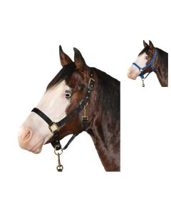 L-pro West Halfter mit Messingbeschlägen