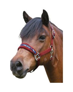 Island-Halfter Take it Isi