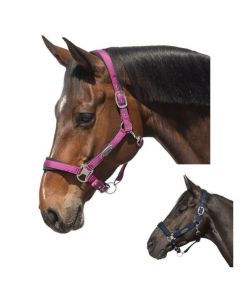 Horse-friends Halfter Seattle