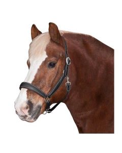 Kaltblut-Leder-Halfter Toronto