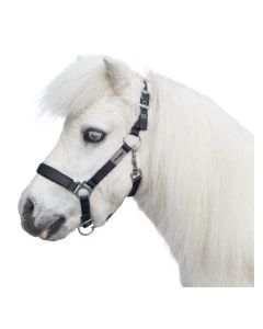 Halfter Piccolino II, Horse-friends