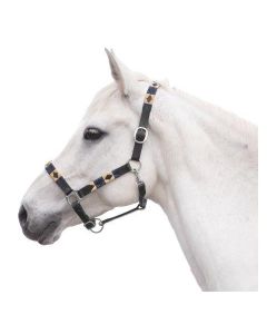 Lederhalfter Canterbury für Minishetty bis Kaltblut