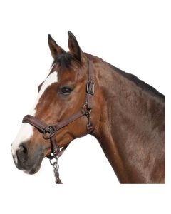 Cheval de Luxe Halfter Lyon