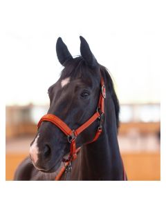 Cheval de Luxe Halfter Lyon