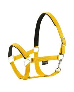 Horse-friends Webhalfter Pin Buckle mit längerem Polster