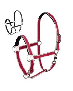 RIDE now Webhalfter Classic Stripe