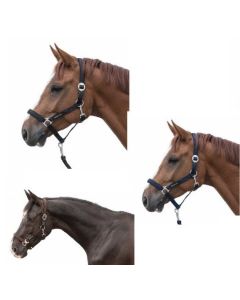 black forest Halfter Basic