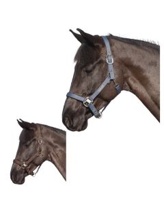 black forest gepolstertes Halfter