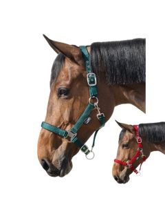 Horse-friends Halfter Basic