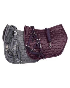 black forest Schabracke Anatomic