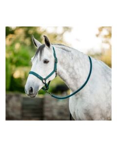HORSEWARE Halfter und Führstrick