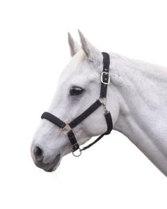 RIDE now Halfter mit Glitzer