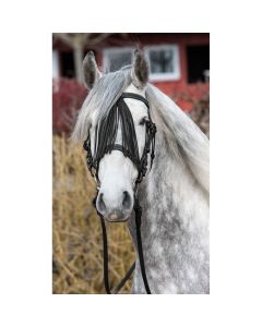 Spanischer Trensenzaum, Loesdau