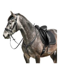 Vorderzeug Saumur, schwarz