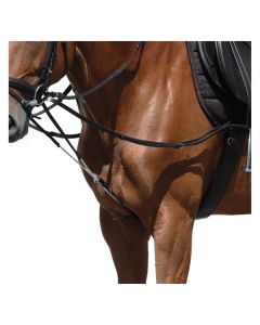 MONTIVUM Dreieckszügel