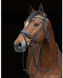 Trensenzaum Barranquilla, Cheval de Luxe