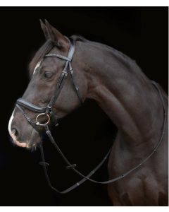 Trensenzaum Genova, Cheval de Luxe