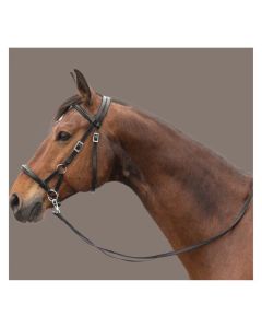 F.R.A. Gebisslose Zäumung Pardoes -  Skala 3