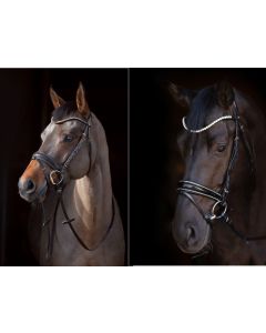 Cheval de Luxe Trensenzaum San Francisco